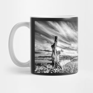 Carperby, Yorkshire Dales National Park, Black And White Mug